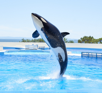 須磨再整備事業