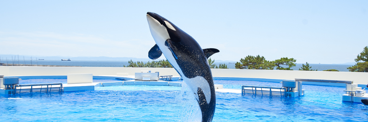 須磨再整備事業