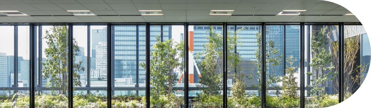 画像：投資家向け開発