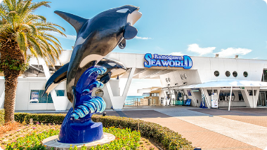 画像：鴨川シーワールド