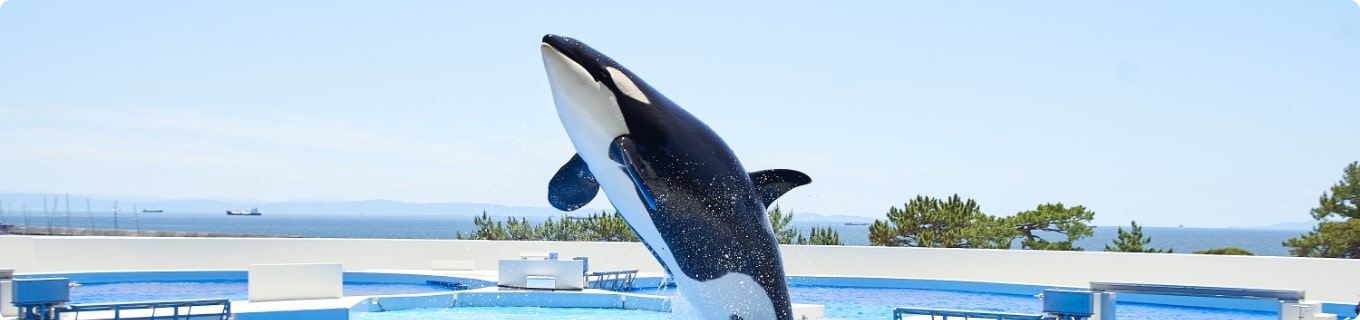 画像：ホテルリゾート