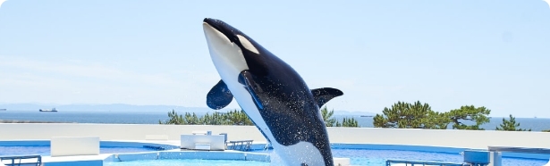 画像：ホテルリゾート