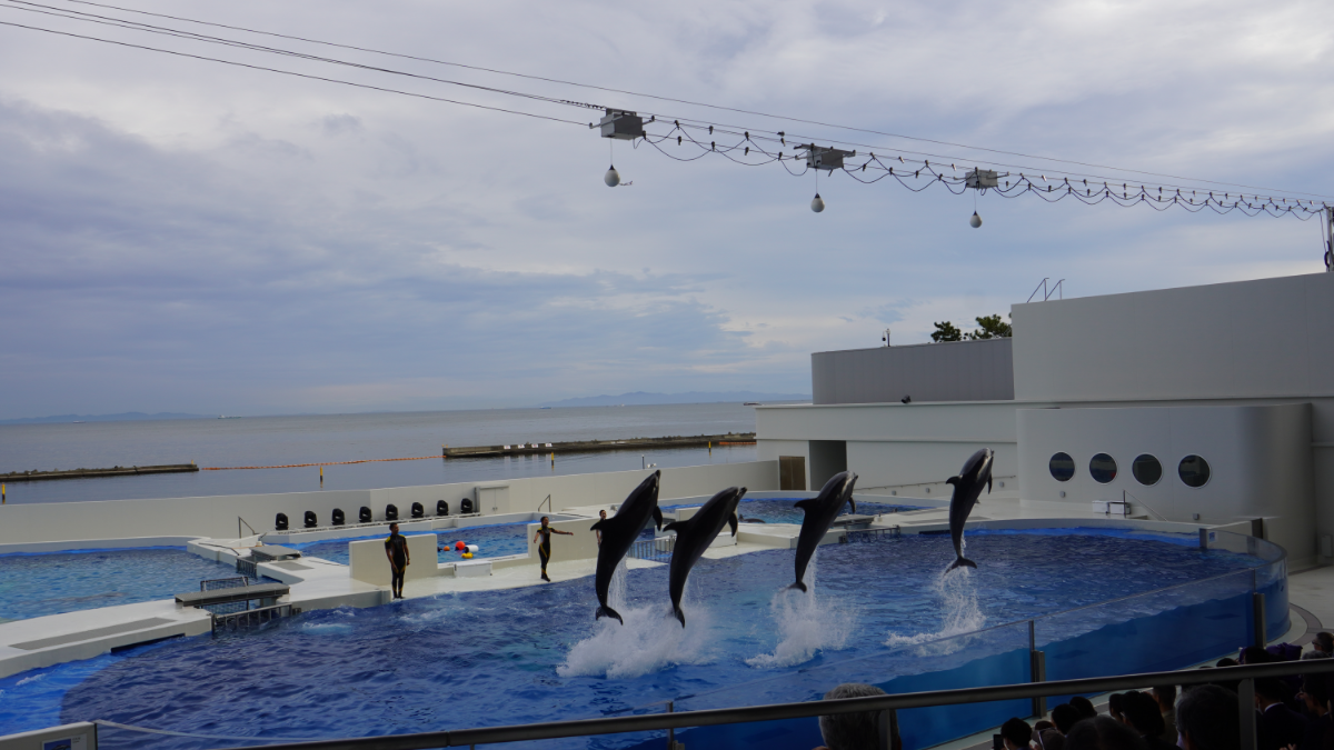 ドルフィンスタジアム