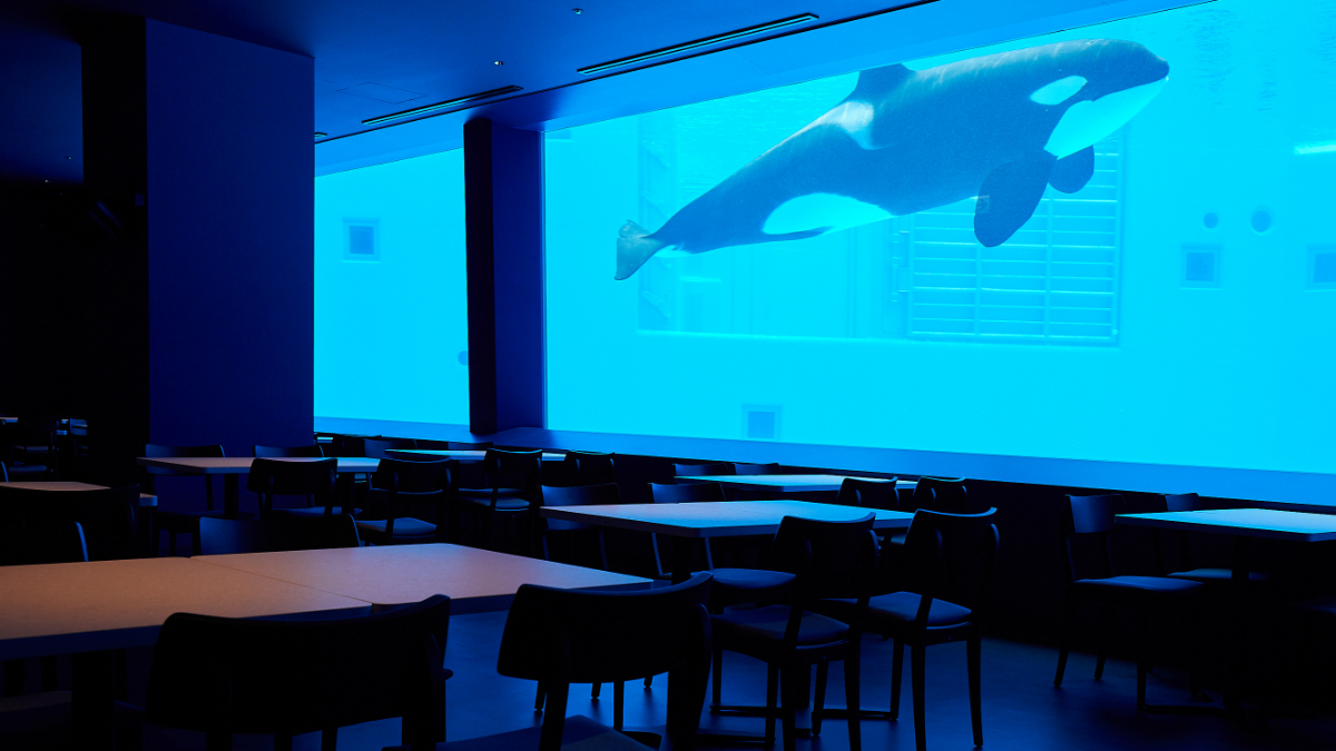 レストランブルーオーシャン